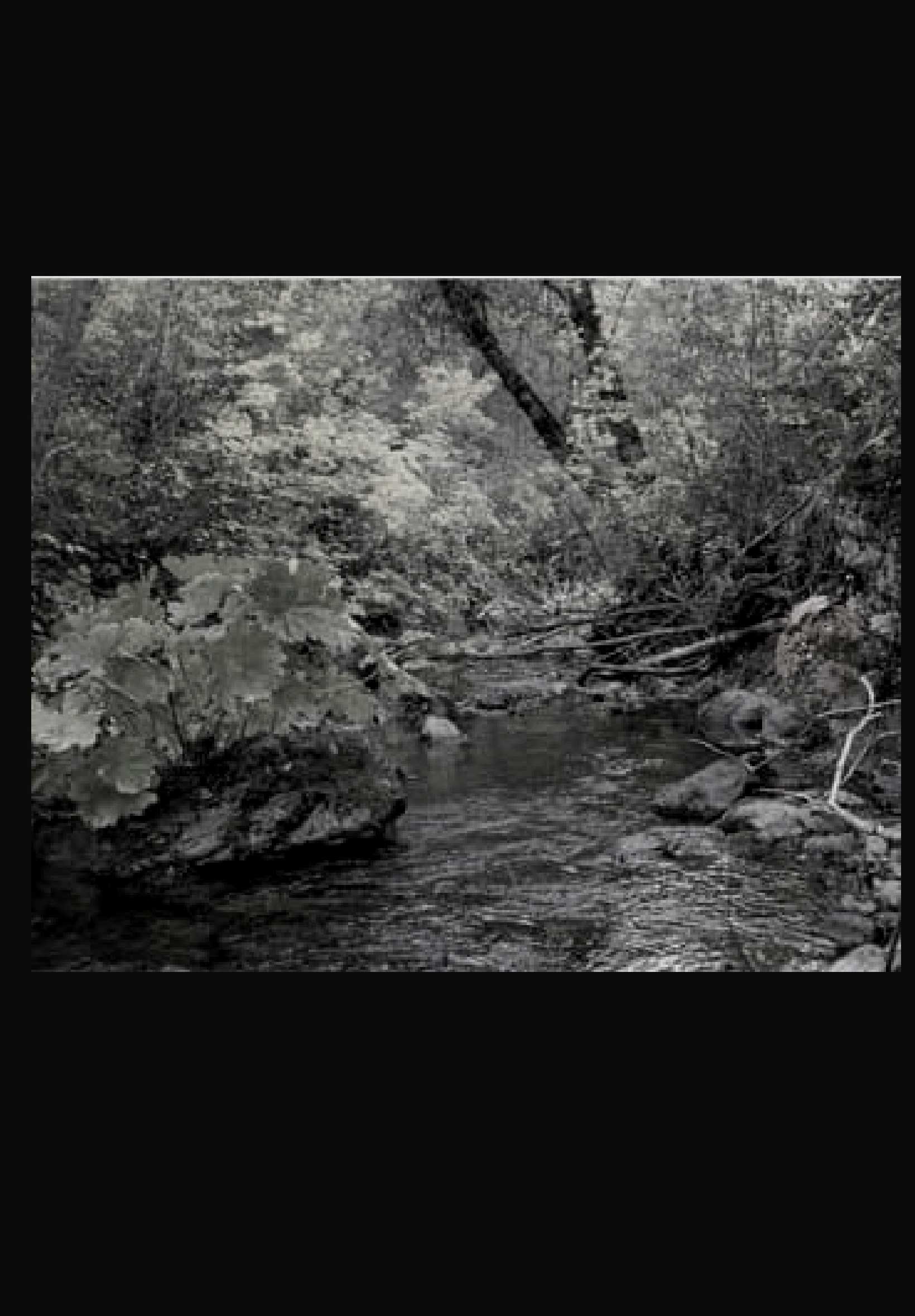 The Creek in Black and White